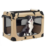 Collapsible Pet Carrier