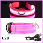 Glow Dog Collar
