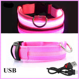 Glow Dog Collar
