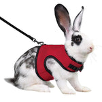 Rabbit Secure Harness