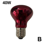 Terrarium Heat Bulb