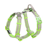 Canine Car Harness