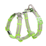 Canine Car Harness