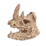 Terrarium Skull Decor