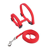 Rabbit Harness Set