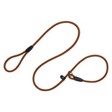 Rope Dog Lead
