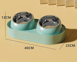Twin Feeding Bowl